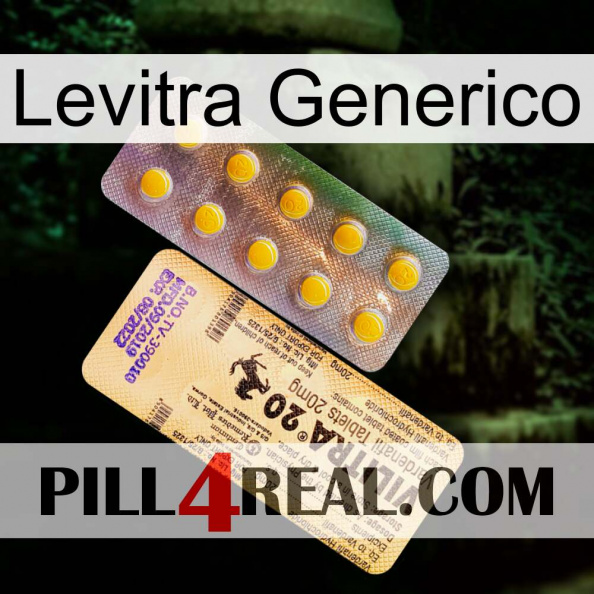 Levitra Generic new06.jpg